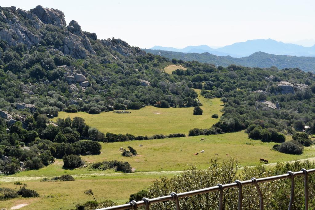 Porto Cervo-Villa La Gjanda Abbiadori Buitenkant foto